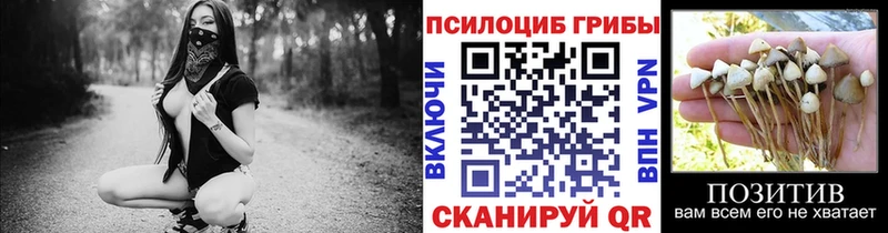 купить наркотики сайты  Клин  Галлюциногенные грибы мухоморы 