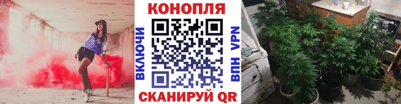 Шишки марихуана OG Kush Клин